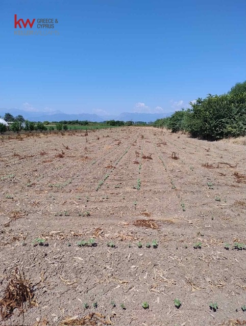 1050659 - Αγροτεμάχιο Προς Πώληση, Πάμισος, 5.700 τ.μ., €10.000