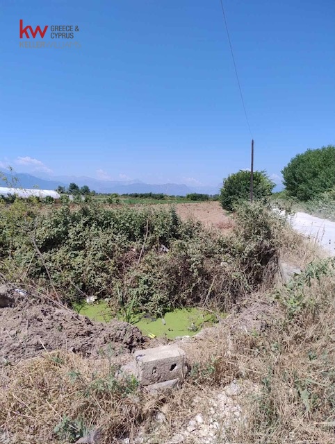 1050659 - Αγροτεμάχιο Προς Πώληση, Πάμισος, 5.700 τ.μ., €10.000