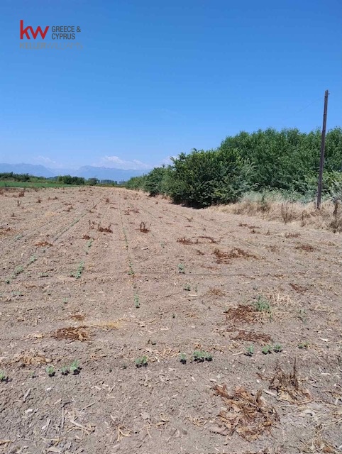 1050659 - Αγροτεμάχιο Προς Πώληση, Πάμισος, 5.700 τ.μ., €10.000