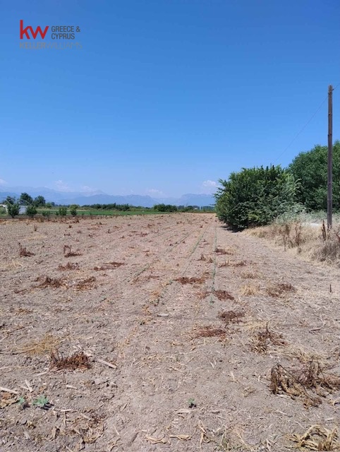 1050659 - Αγροτεμάχιο Προς Πώληση, Πάμισος, 5.700 τ.μ., €10.000