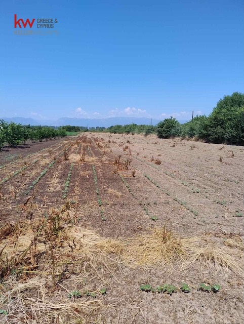 1050659 - Αγροτεμάχιο Προς Πώληση, Πάμισος, 5.700 τ.μ., €10.000