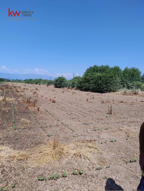 1050659 - Αγροτεμάχιο Προς Πώληση, Πάμισος, 5.700 τ.μ., €10.000