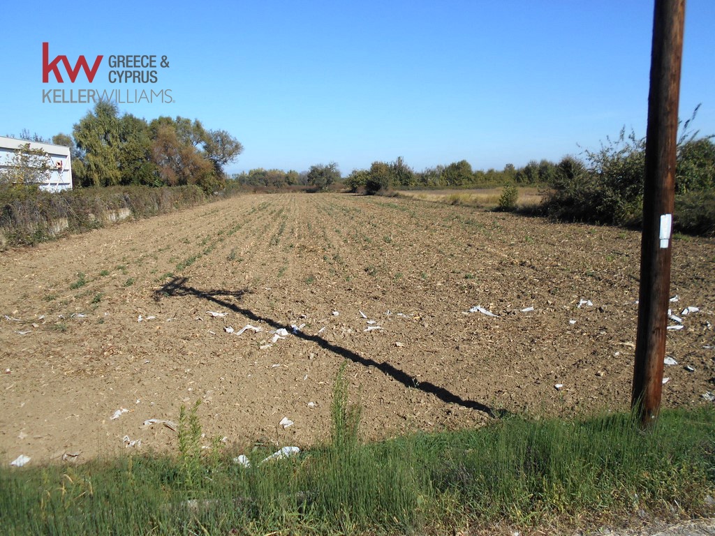 1239346 - Αγροτεμάχιο Προς Πώληση, Καρδίτσα, 6.727 τ.μ., €14.000