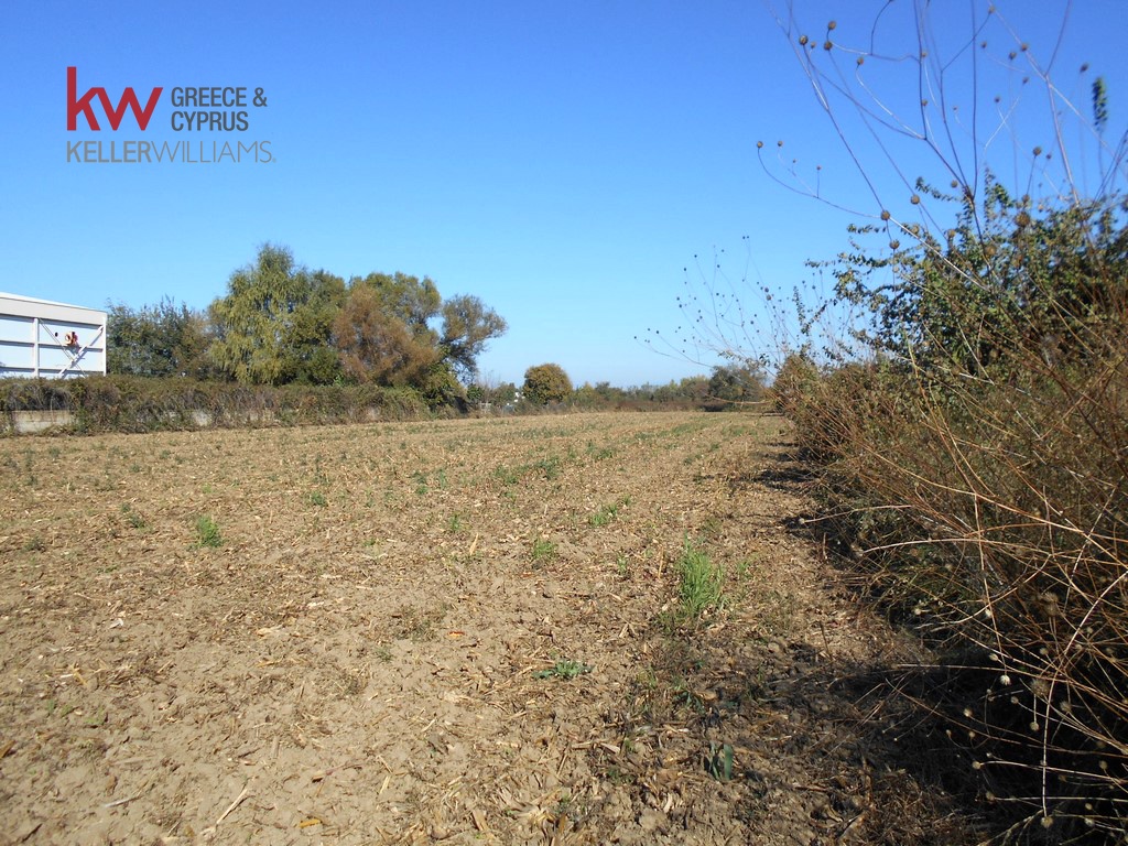 1239346 - Αγροτεμάχιο Προς Πώληση, Καρδίτσα, 6.727 τ.μ., €14.000