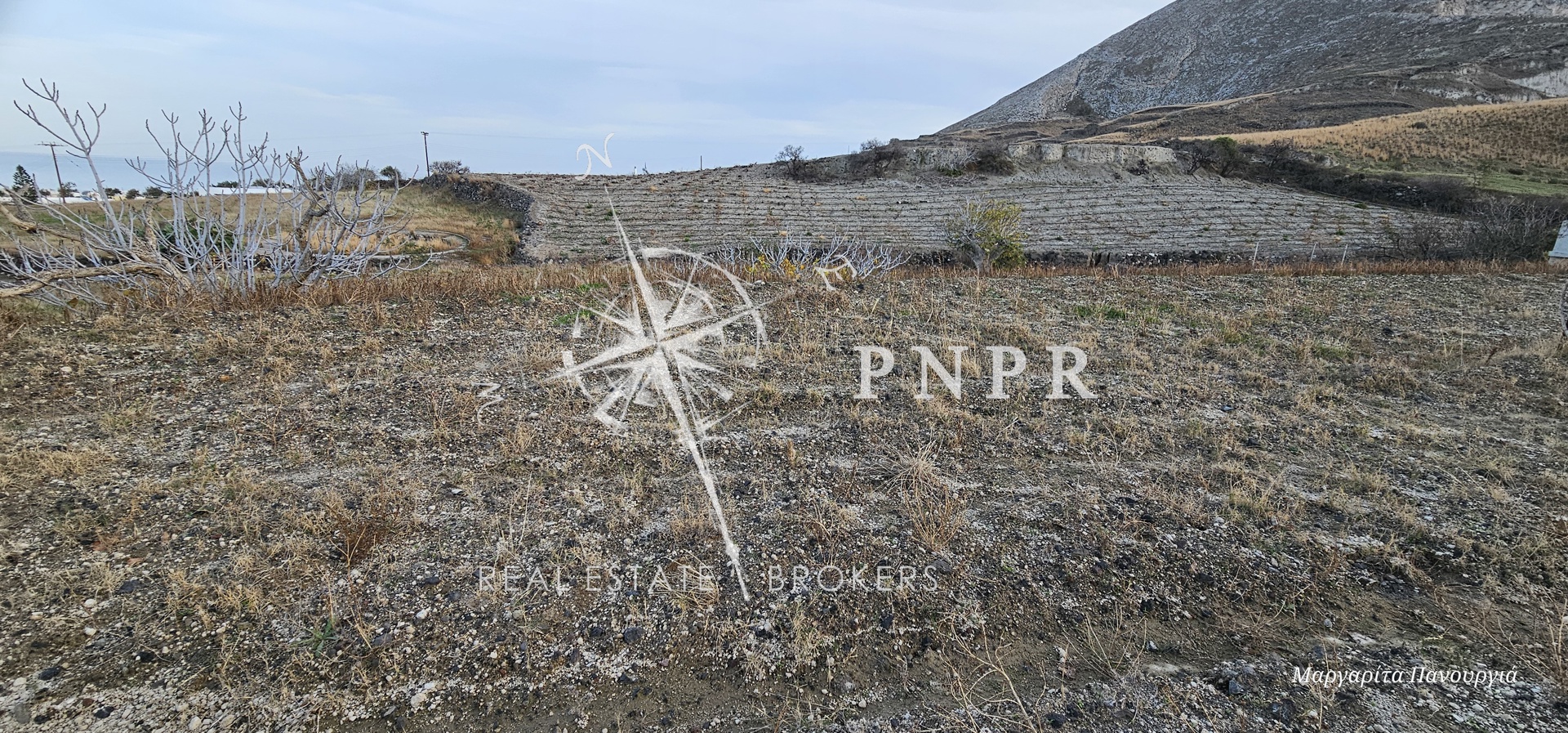 PNPR REAL ESTATE BROKERS EE