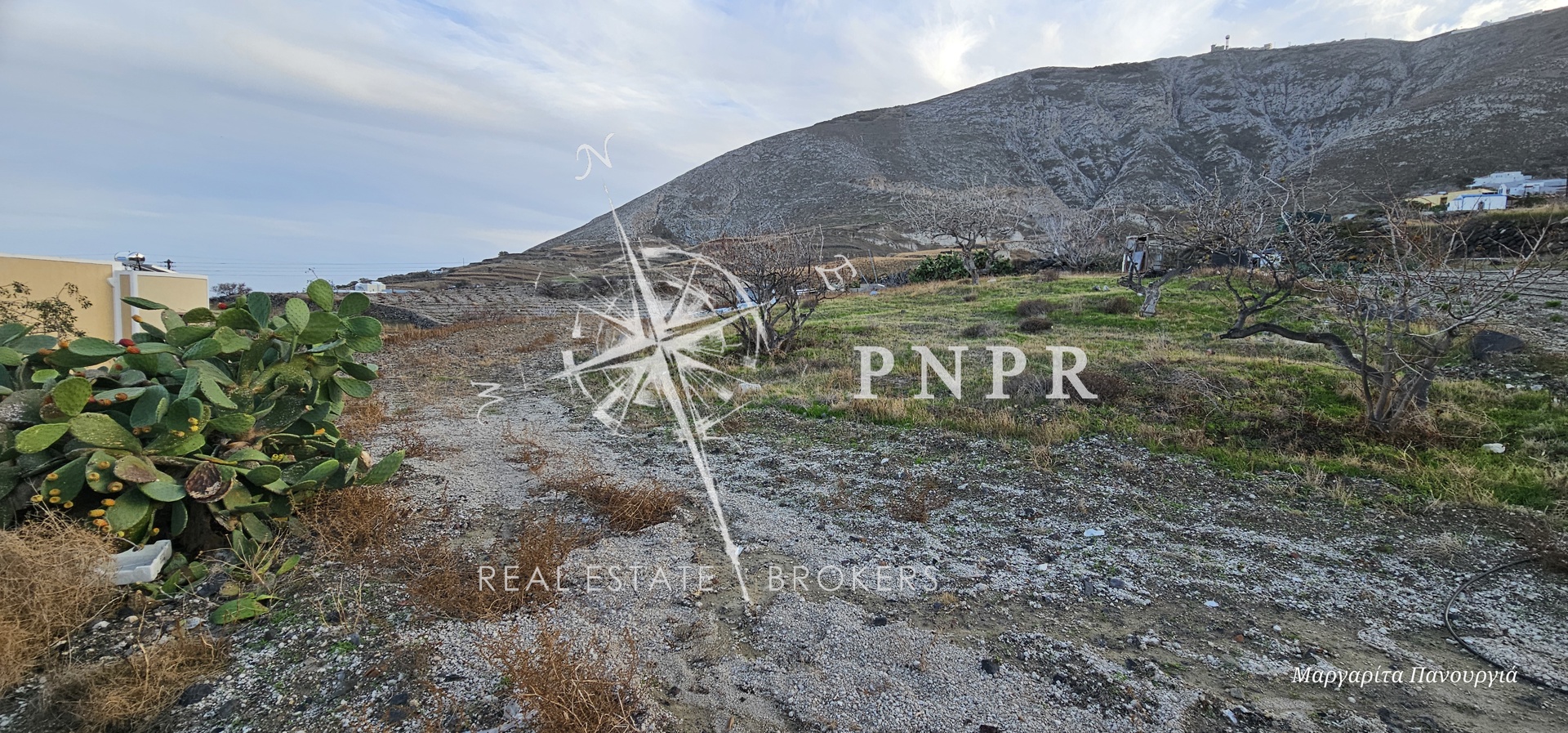 PNPR REAL ESTATE BROKERS EE