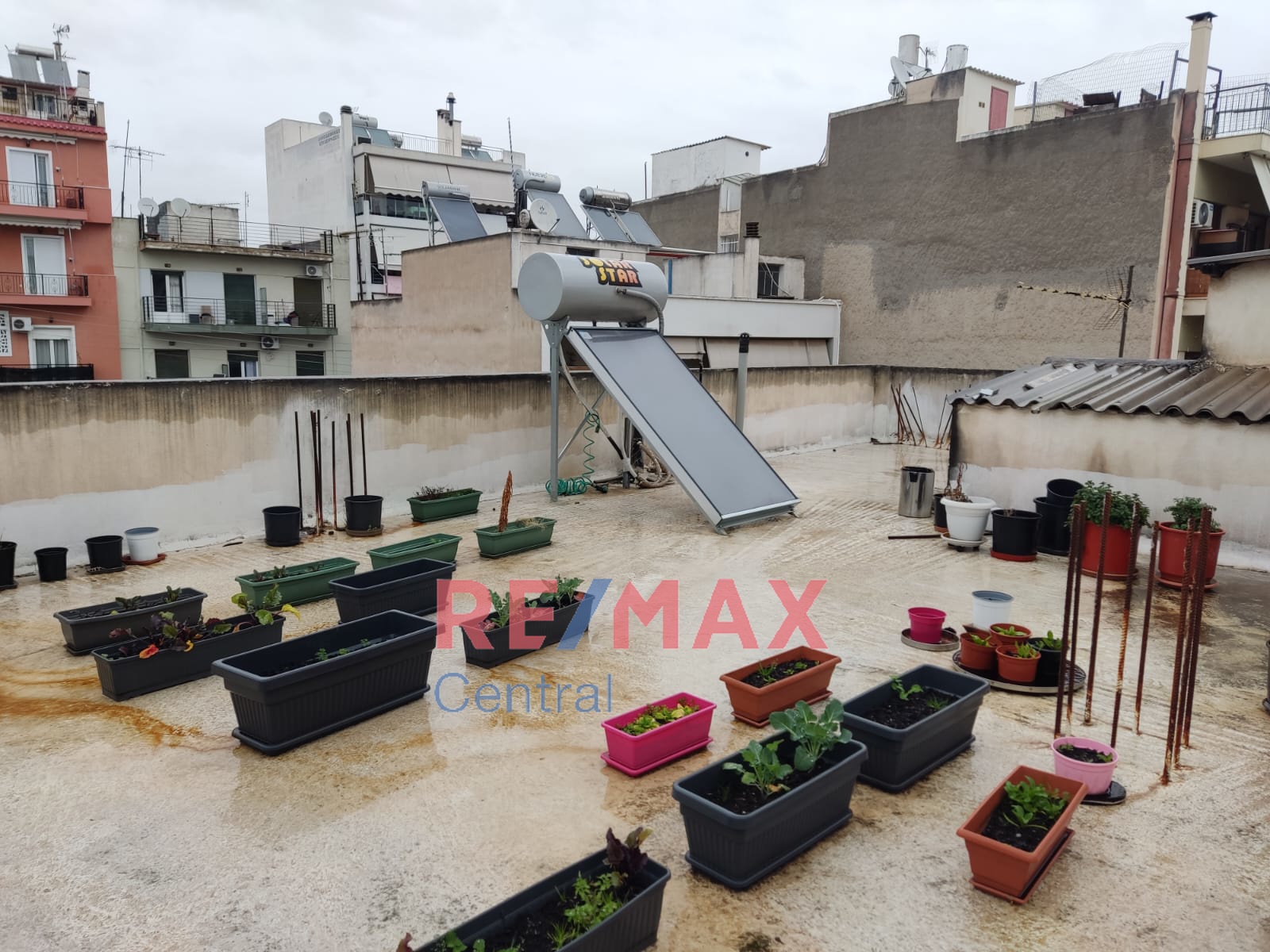 Remax Central
