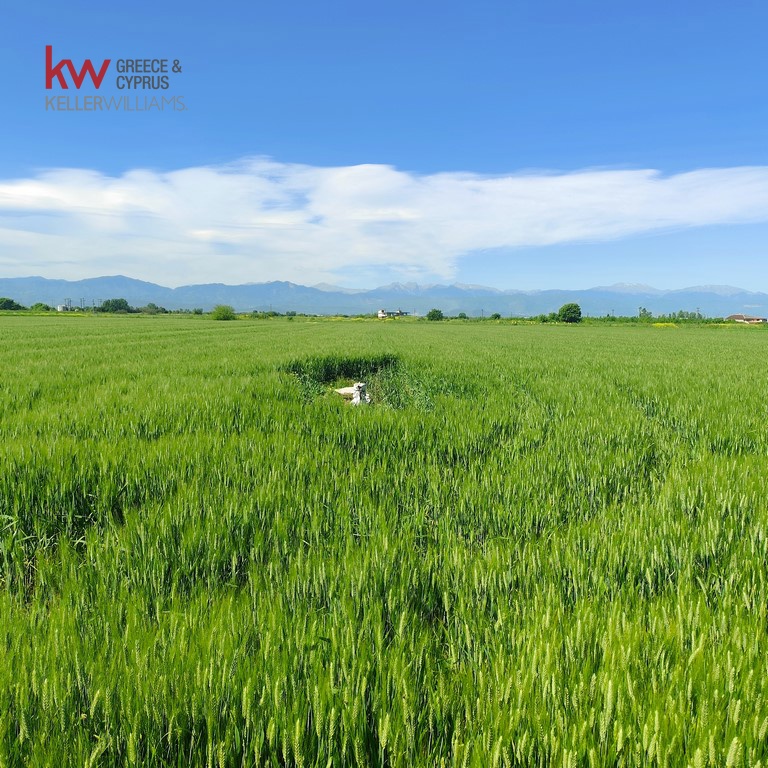 1553739 - Αγροτεμάχιο Προς Πώληση, Άρνη, 20.000 τ.μ., €23.000
