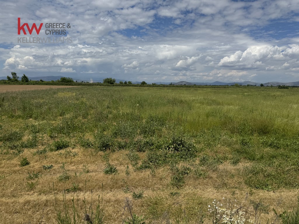 1563953 - Αγροτεμάχιο Προς Πώληση, Κάμπος, 34.000 τ.μ., €40.000