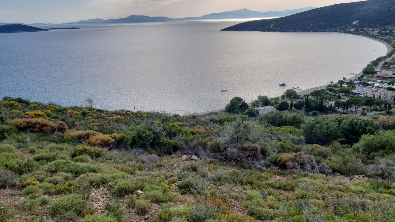 Selling Evia Real Estate