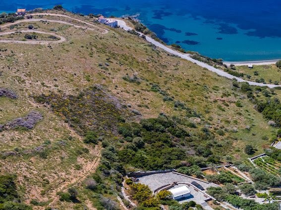 Selling Evia Real Estate