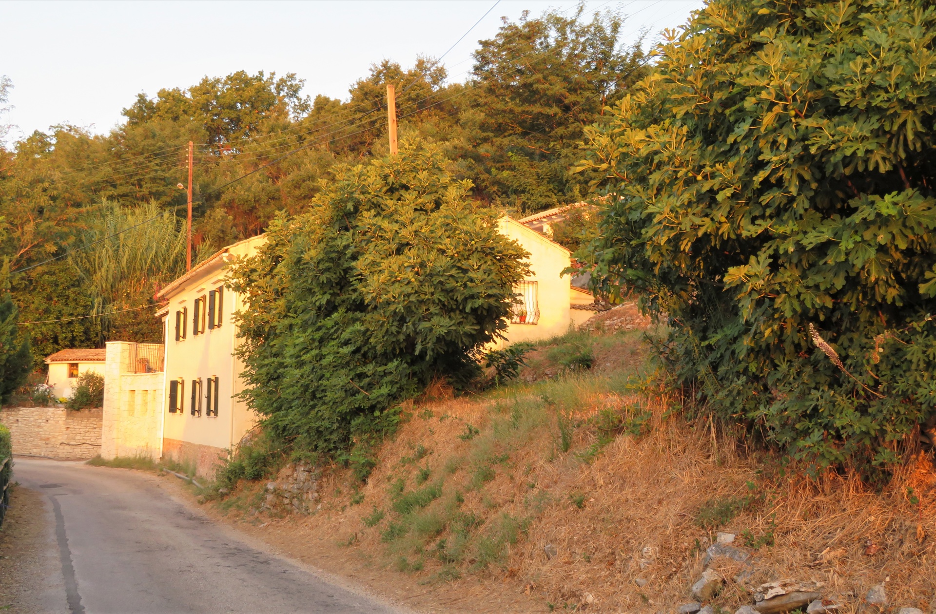 von_poll_real_estate_property_1568501_image_21