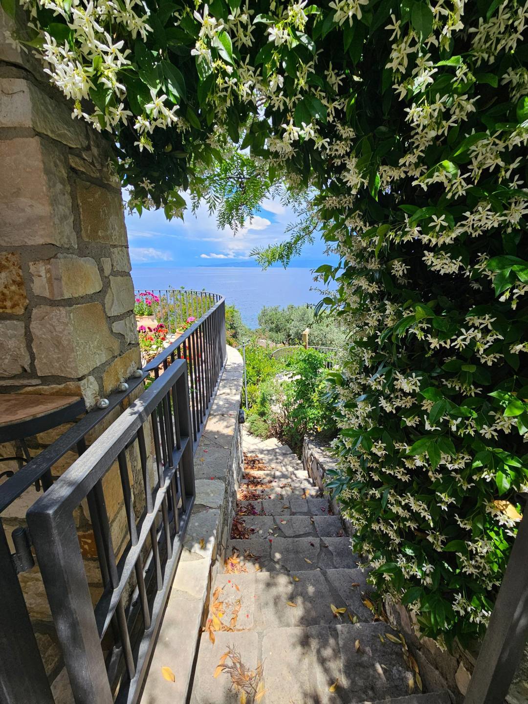 90388257a1844d88b0b095dec3e08fde