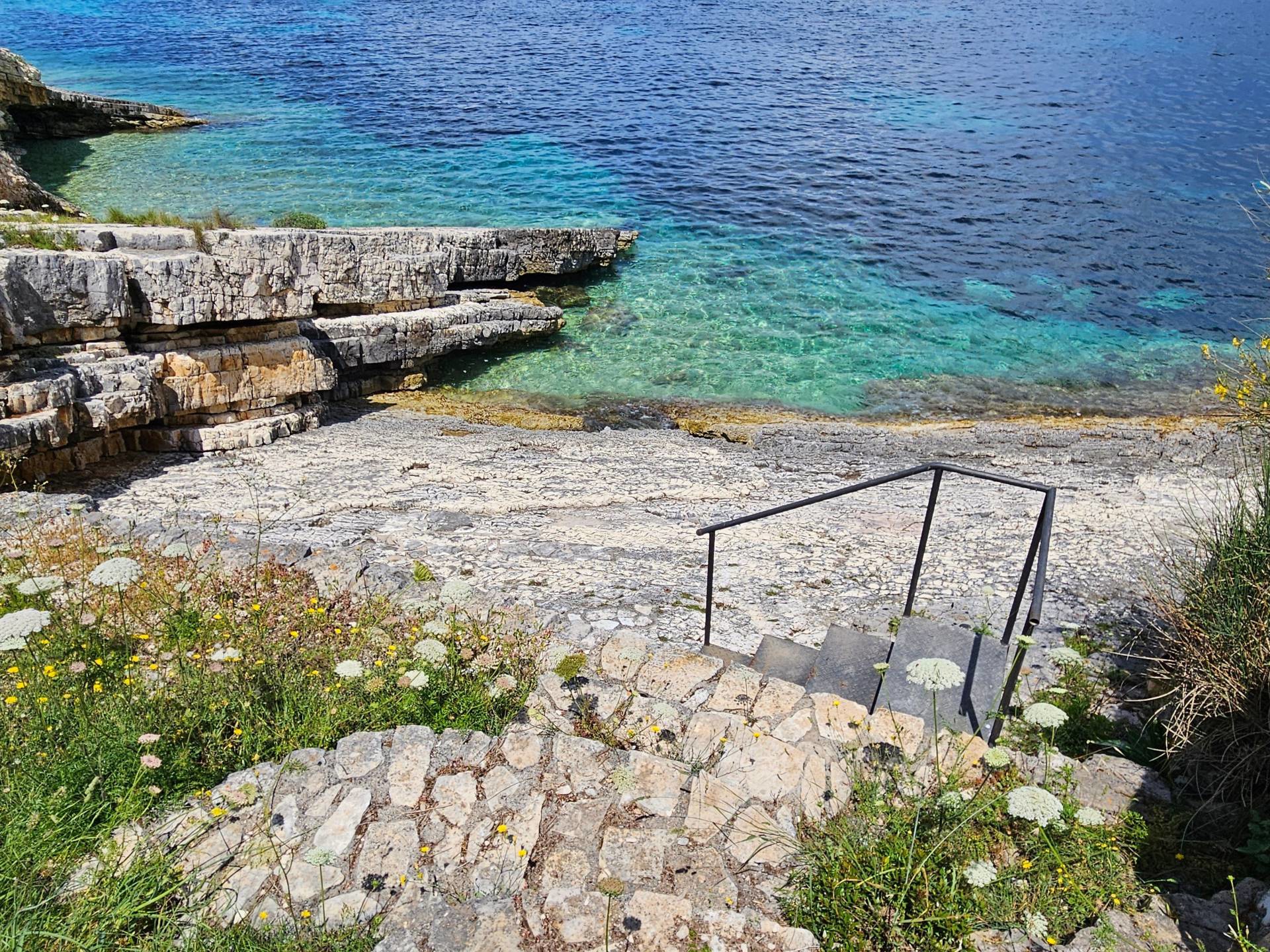 f2a7527bb2e945a48fa1cbb97f9b771e