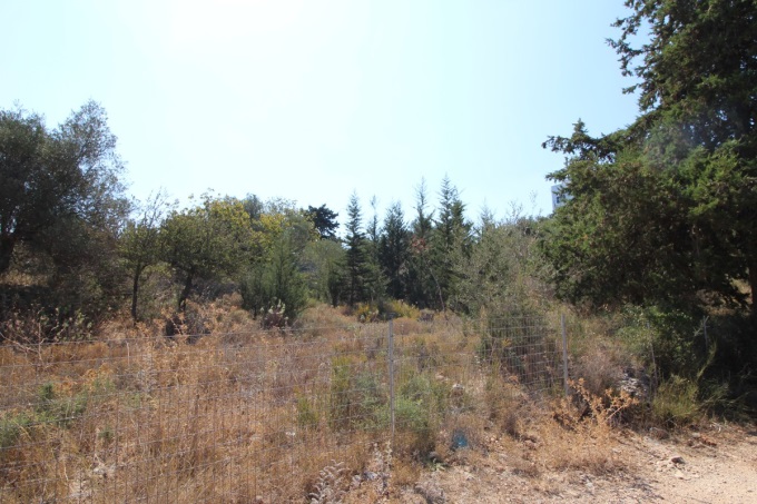 Plot with building license 2600m2 - 14