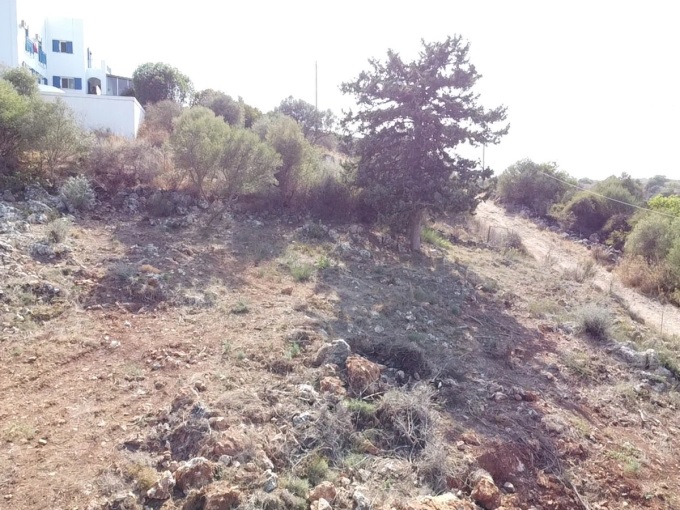 Plot with building license 2600m2 - 26