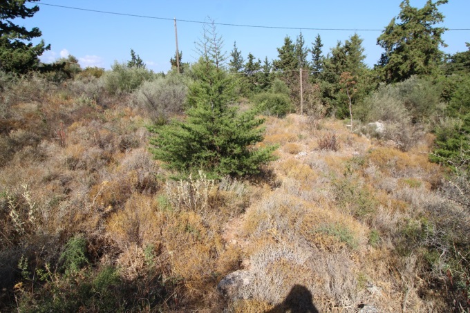 Plot with building license 2600m2 - 6