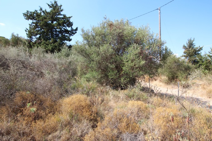 Plot with building license 2600m2 - 11