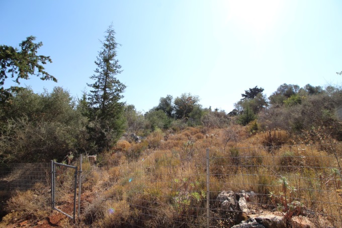 Plot with building license 2600m2 - 4