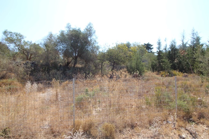 Plot with building license 2600m2 - 13