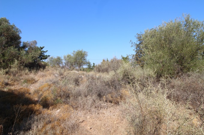 Plot with building license 2600m2 - 8
