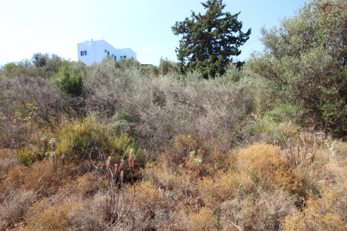 Plot with building license 2600m2 - 12