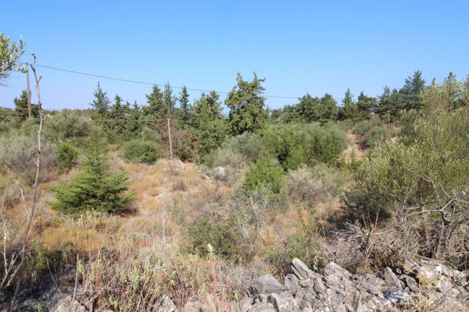 Plot with building license 2600m2 - 7
