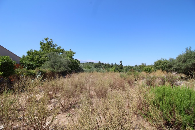 Countryside Plot - 2