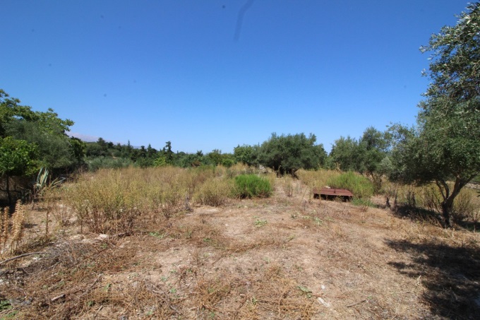 Countryside Plot - 1