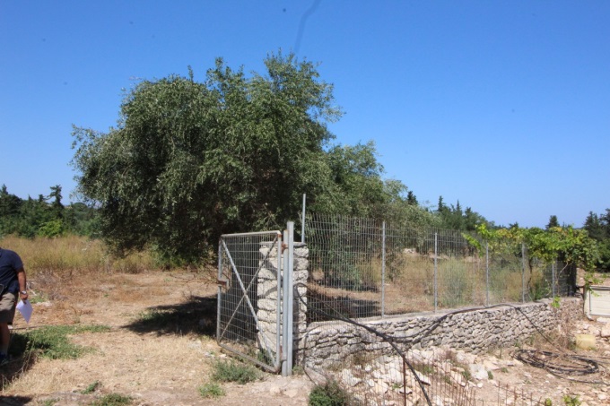 Countryside Plot - 0