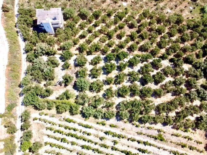 Plot in Kera - 3