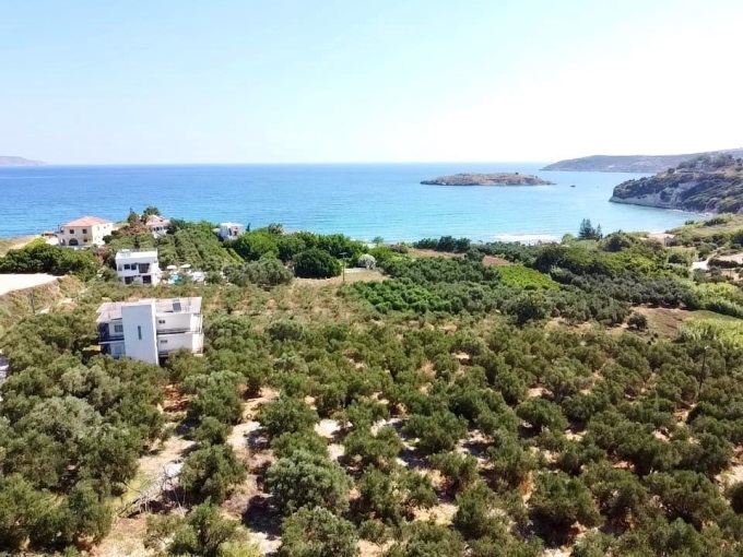 Plot in Kera - 6