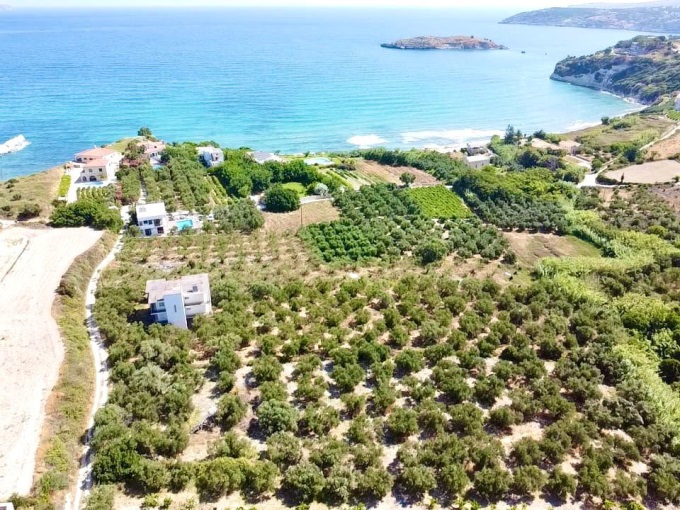 Plot in Kera - 2