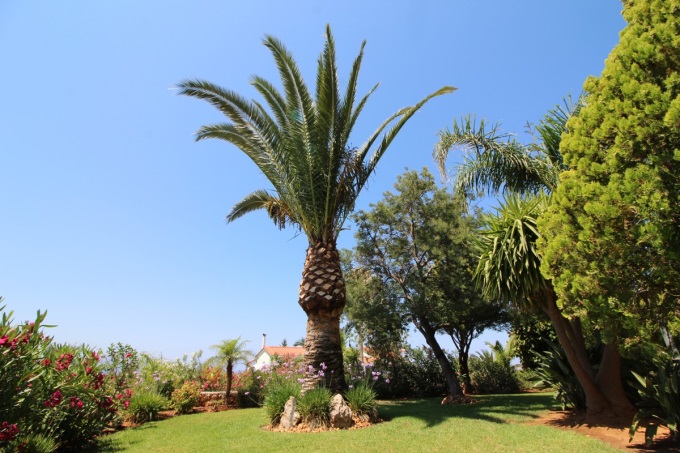 House with Stunning Views, Pool and Gardens - 55
