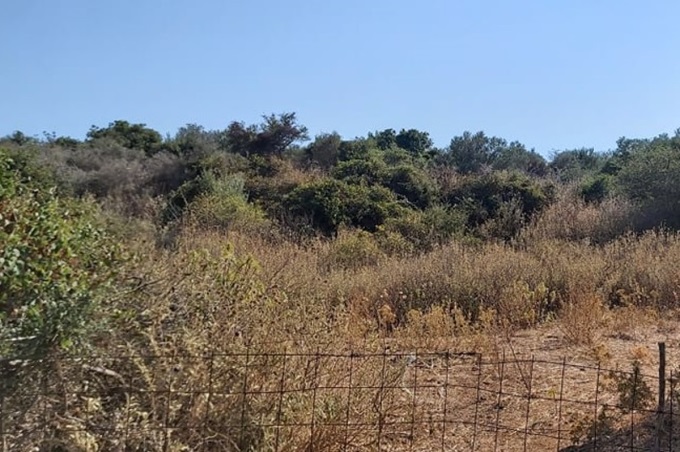 Sea View Plot For Sale - 2