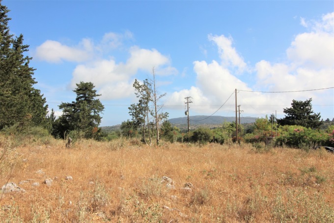 The Ideal Plot to Build An Amazing Villa For Sale - 3