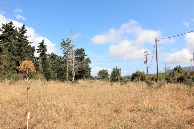 The Ideal Plot to Build An Amazing Villa For Sale - 2