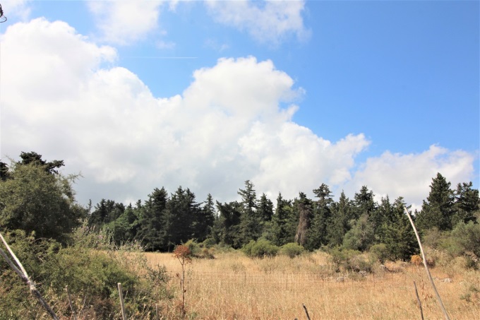The Ideal Plot to Build An Amazing Villa For Sale - 0
