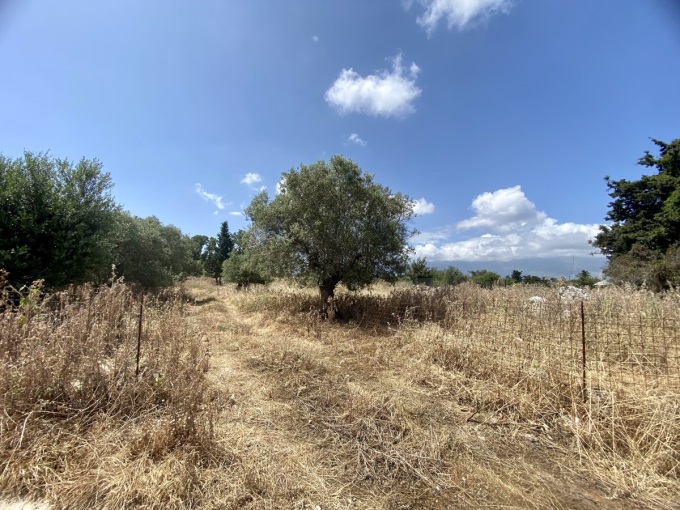 Wonderful Plot For Sale In Xirosterni - 17