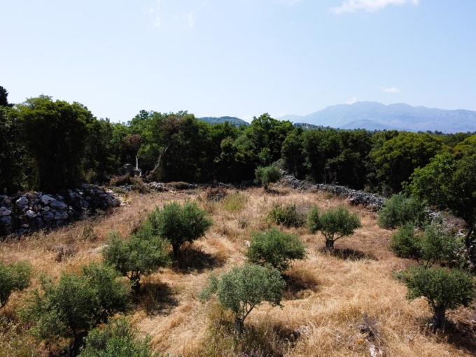 Wonderful Plot For Sale In Xirosterni - 8