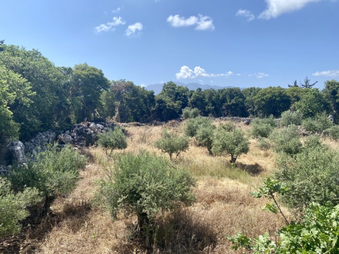 Wonderful Plot For Sale In Xirosterni - 0