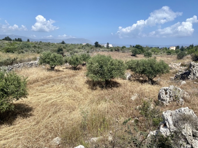 Wonderful Plot For Sale In Xirosterni - 13