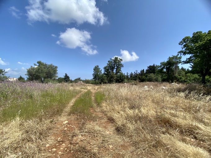 Wonderful Plot For Sale In Xirosterni - 16