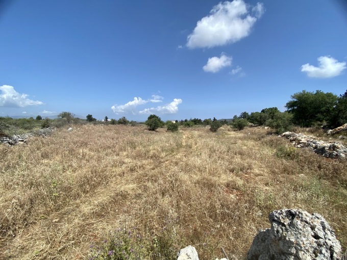 Wonderful Plot For Sale In Xirosterni - 14