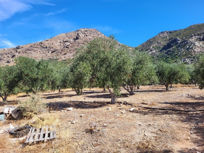 2 Unfinished Houses with Stunning Views for Sale in Sfinari - 27