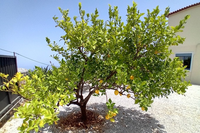 Sea View Property For Sale With Private Pool - 33