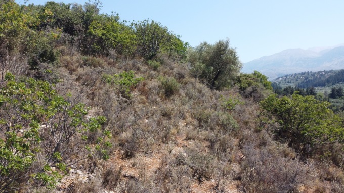 Plot For sale in Nio Chorio - 11
