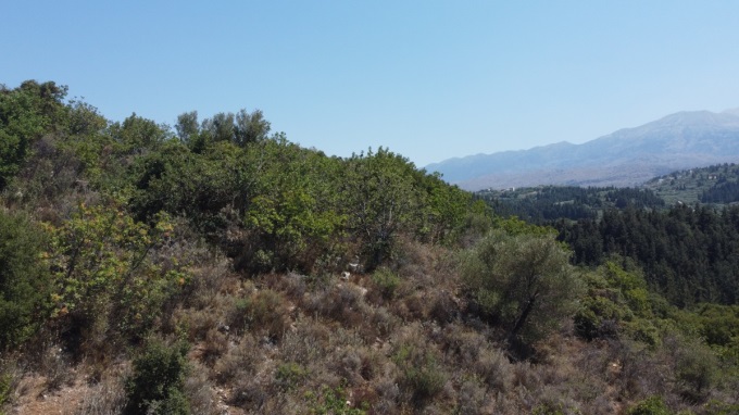 Plot For sale in Nio Chorio - 13