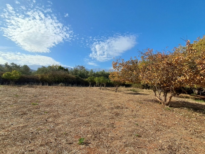 Prime Development Plot in Armenoi with Mountain Views, Orchard, and Beach Proximity - 13