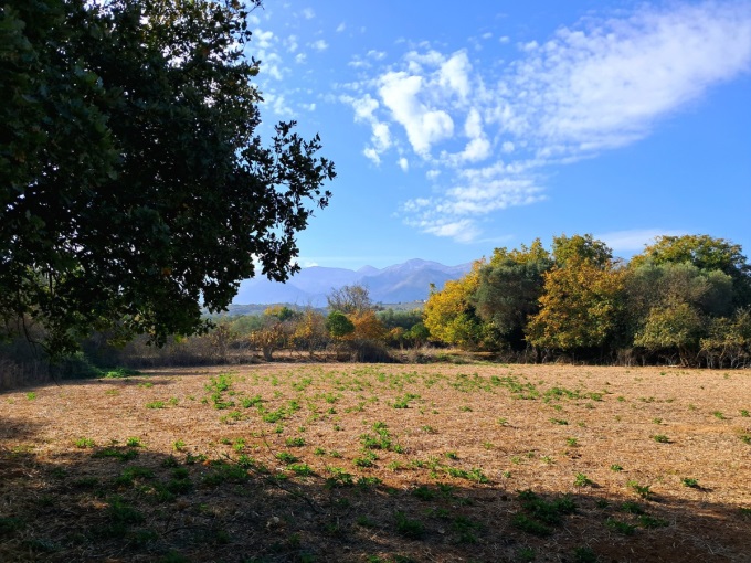 Prime Development Plot in Armenoi with Mountain Views, Orchard, and Beach Proximity - 17
